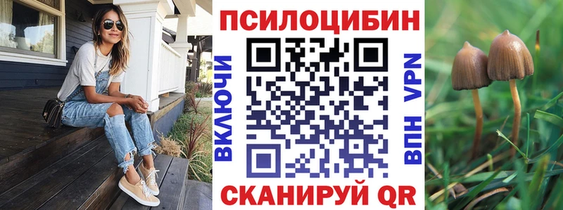Галлюциногенные грибы Psilocybine cubensis  где найти наркотики  Власиха 
